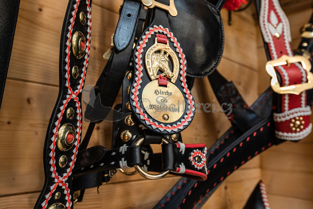 Harness for horses  