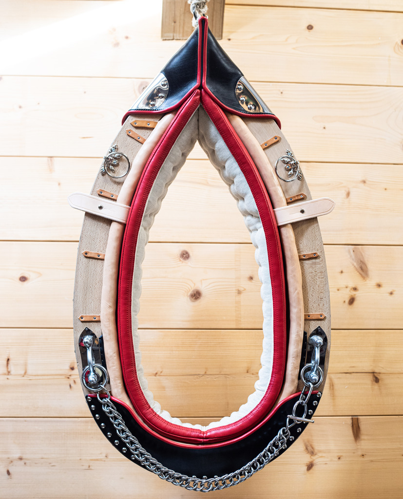 Horse-collar Noble LGD pointed collar
