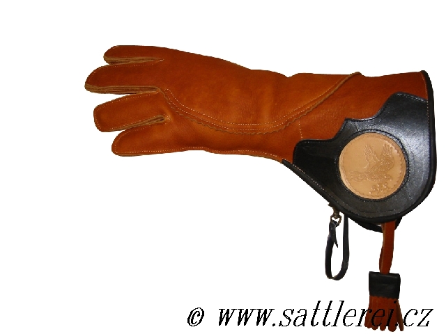 Gloves for falconer 