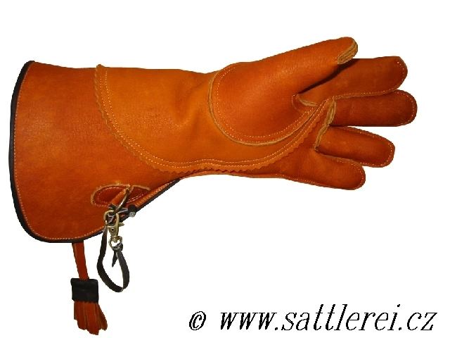 Gloves for falconer  